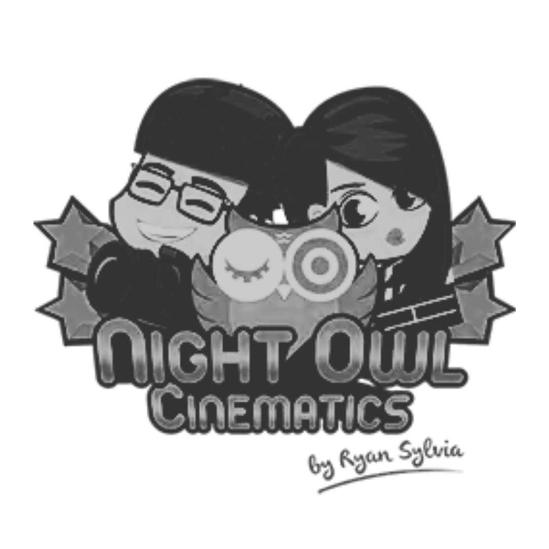 Night Owl Cinematics